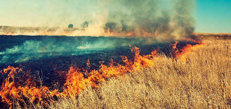 Rural Fire Risk | Securus Risk Advisors